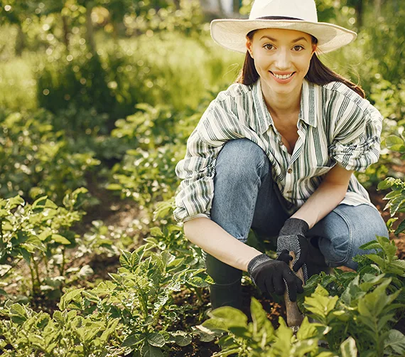 最新动态 - 企鹅直播7